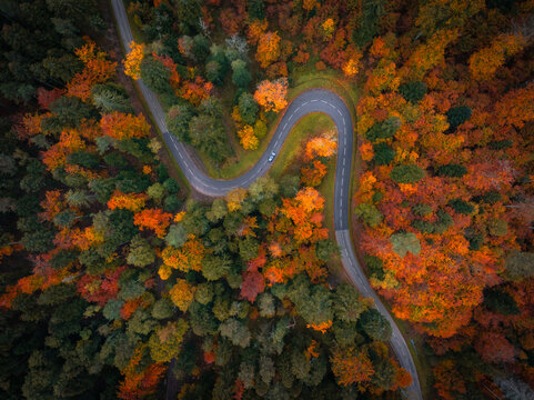 Aerial view of a winding road cutting through a dense forest with vibrant autumn foliage in France.