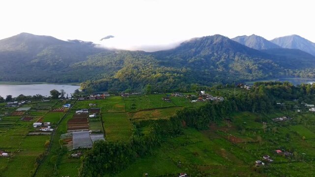 Aerial view of the lush green landscape and agricultural fields near Jalan Raya Wanagiri with mountains and a lake in the background in Kecamatan Sukasada, Bali, Indonesia.