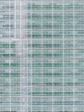Aerial view of a large industrial greenhouse complex with rows of plants visible through glass panels and metal framing in Riga, Latvia.