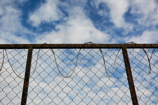 Wire mesh fence barbed wire
