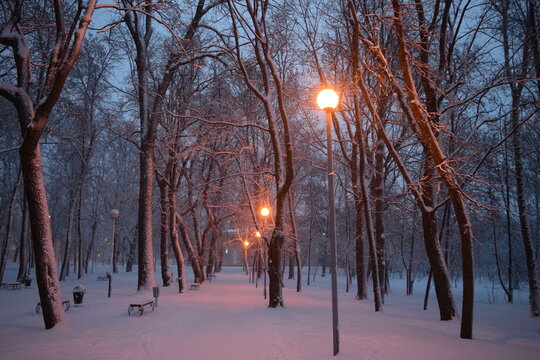 Glowing street lamps in a snow-covered city park in Oryol Russia at winter dawn, warm orange light on bare snowy trees and fresh untouched snow against a blue morning sky, cozy winter morning atmosphe