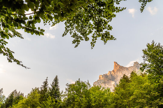View of the dramatic limestone cliffs of Cirque du Fer a Cheval framed by lush green forest canopy under a clear sky in Sixt-Fer-a-Cheval, Auvergne-Rhone-Alpes, France.