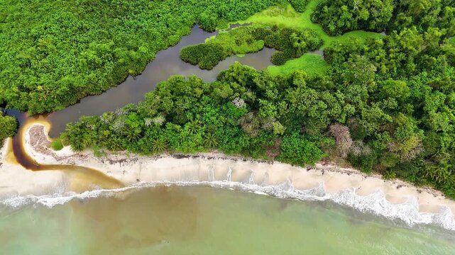 Aerial view of the lush tropical forest meeting the sandy beach and turquoise waters at Parque Nacional Cahuita, Cahuita, Limon, Costa Rica.