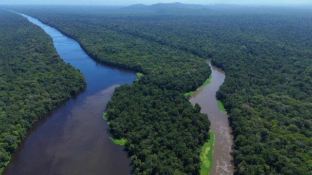 Aerial view of Tortuguero river winding through dense tropical rainforest in Tortuguero, Limon Province, Costa Rica.