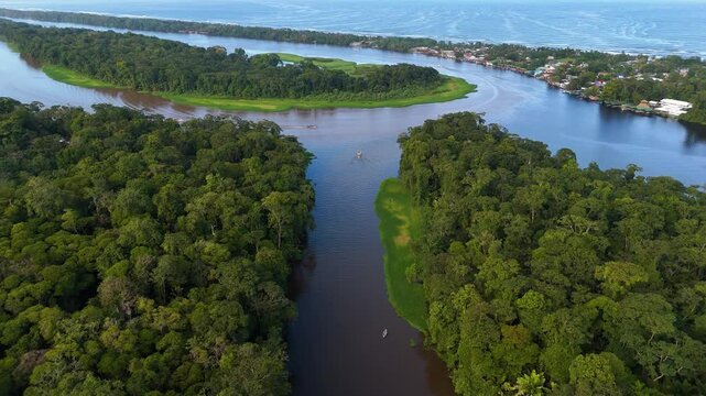 Aerial view of the Tortuguero river winding through dense tropical rainforest with the Caribbean Sea in the background in Tortuguero, Limon Province, Costa Rica.