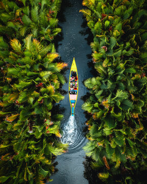 Aerial view of a yellow boat carrying people through a narrow river flanked by lush palm trees in Rammang Rammang Karst Village, Kecamatan Bontoa, Sulawesi Selatan, Indonesia.