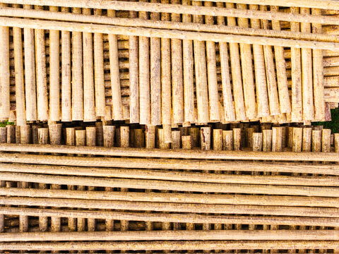 Aerial view of stacked timber logs in a certified forestry site, showcasing sustainable wood management practices in Brankas, Jelgava Municipality, Latvia.