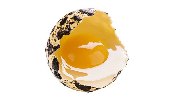 Broken speckled quail egg with bright yellow yolk and white albumen, isolated on transparent background