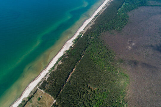 Aerial view of Nida Bog in Pape Nature Park, featuring coastal peatland with dense pine forests meeting the sandy Baltic Sea coastline Nida, South Kurzeme Municip, Latvia.