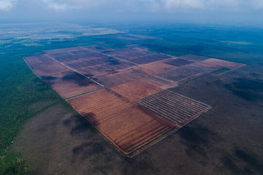 Aerial view of Nida Bog in Pape Nature Park, featuring large peatland extraction fields with distinct brown soil patterns surrounded by dense forest in Nida, South Kurzeme Municip, Latvia.