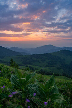 View of Ploska mountain in Velka Fatra National Park with lush green slopes, wildflowers in the foreground, and a vibrant sunset sky over the landscape in Bela-Dulice, Zilina Region, Slovakia.
