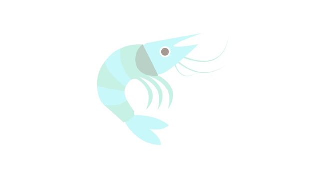 Animated Cute Cyan Blue Shrimp Swimming and Appearing Flashing Motion Graphic Loop Isolated on Clean White Background for Seafood Restaurant Menu Concept