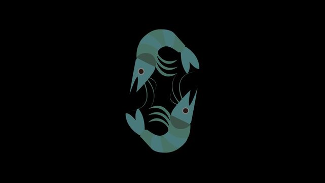 Pair of Two Animated Cute Cyan Blue Shrimps Swimming Together Motion Graphic Loop Isolated on Dark Black Background for Seafood Restaurant Menu Marine Life Concept