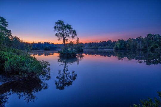 View of a lone tree on a small island in a calm lake reflecting the vibrant colors of a sunset sky in the Netherlands.