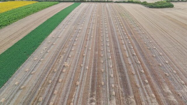 Aerial view of agricultural fields with rows of hay bales and vibrant sunflower crops in the rural countryside Jazak, Vojvodina, Serbia.