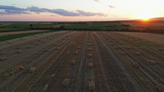 Aerial view of hay bales in a harvested field at sunset in Jazak, Vojvodina, Serbia.