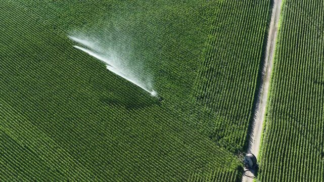 Aerial view of a cornfield being irrigated by a center pivot system with lush green crops and a dirt path in Hombourg, Grand Est, France.