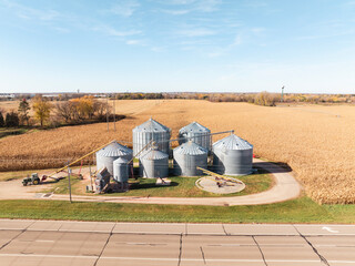 High aerial view of rural grain silo storage complex surrounded by golden corn fields and road © Nick
