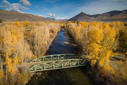 Golden aspen and cottonwood trees surround the bridge over the East River at the Roaring Judy fish hatchery