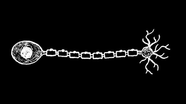 Hand-drawn white chalk Unipolar neuron cell drawing on alpha