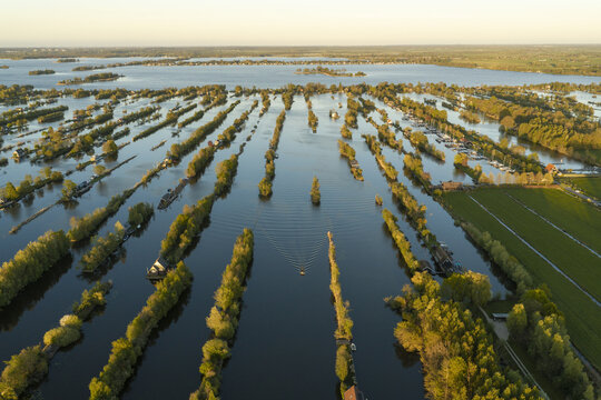 Aerial view of the Scheendijk area featuring narrow strips of land with lush trees and calm waterways in Breukelen, Utrecht, Netherlands.