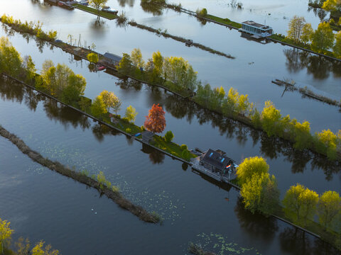 Aerial view of Scheendijk featuring narrow islands with houses, lush green trees, and calm waterways reflecting the sky in Breukelen, Utrecht, Netherlands.