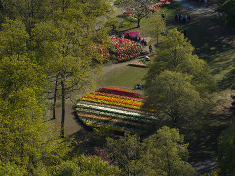 Aerial view of Keukenhof gardens in spring with vibrant circular tulip beds surrounded by lush green trees and walking paths in Lisse, Zuid-Holland, Netherlands.