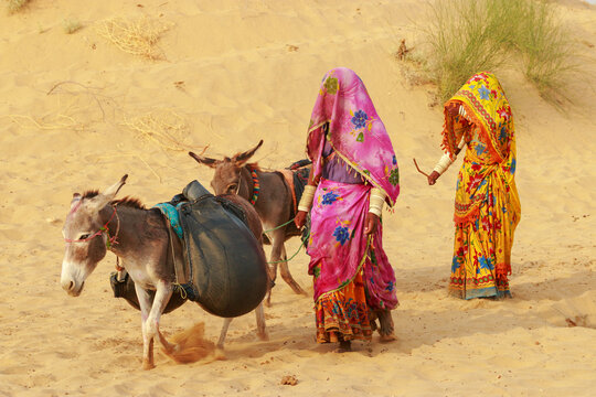 View of women in traditional colorful clothing walking through the Thar Desert with donkeys carrying water containers for daily needs in Mithi, Sindh, Pakistan.