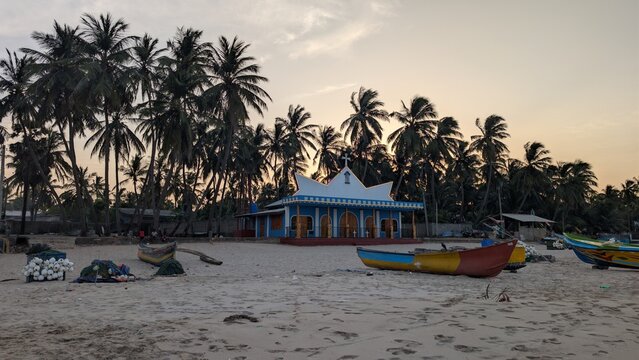tropical beach with palm trees