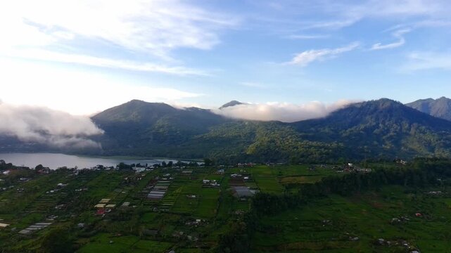 Aerial view of Danau Buyan surrounded by lush green agricultural fields and mountains under a bright sky in Sukasada, Bali, Indonesia.