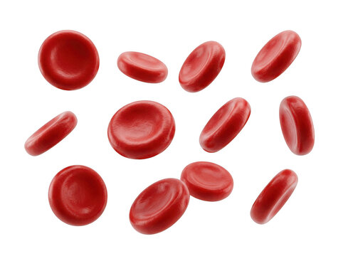 Red blood cells isolated on transparent background
