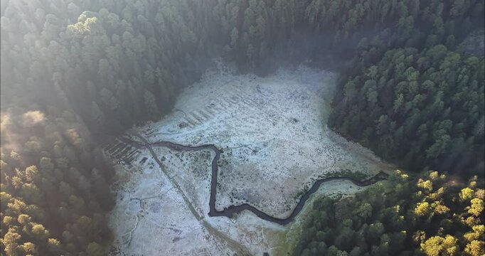 Aerial view of the Corral de Piedra forest clearing with a winding stream and frost-covered ground surrounded by dense pine trees in Corral de Piedra, Estado de Mexico, Mexico.
