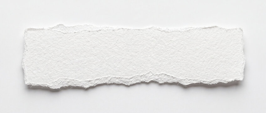 Torn paper strip with rough deckle edge isolated on a clean white background, showcasing fibrous cotton texture and organic raw margins for creative banner text frame layout design