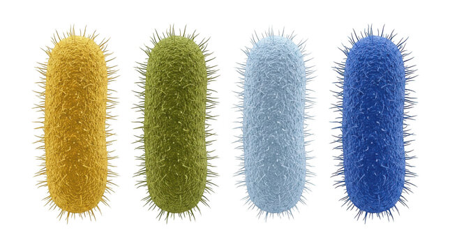 Set of colorful rodshaped bacteria cells isolated on transparent background