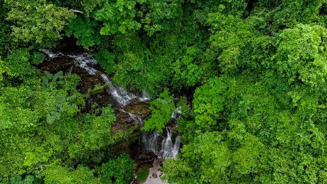 Aerial view of Oboadaka Falls cascading through the lush tropical forest canopy in Aburi, Eastern Region, Ghana.