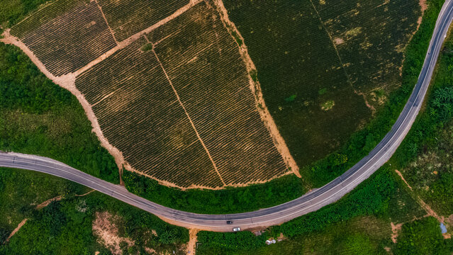 Aerial view of the agricultural fields and a winding road near Pokrom in the rural landscape of Aburi, Eastern Region, Ghana.