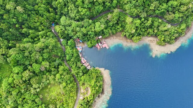 Aerial view of Lubang Buaya Morella featuring a small coastal bay surrounded by dense tropical forest and lush greenery in Leihitu, Maluku, Indonesia.