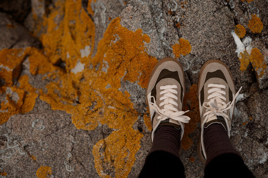 Close-up view of feet wearing sneakers on rocky terrain with lichen