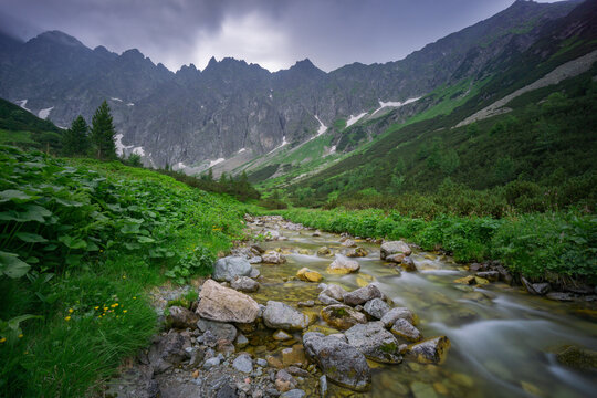 View of Zadna Javorova dolina in High Tatras National Park with a stream flowing over rocks through a lush green valley in Tatranska Javorina, Presovsky kraj, Slovakia.