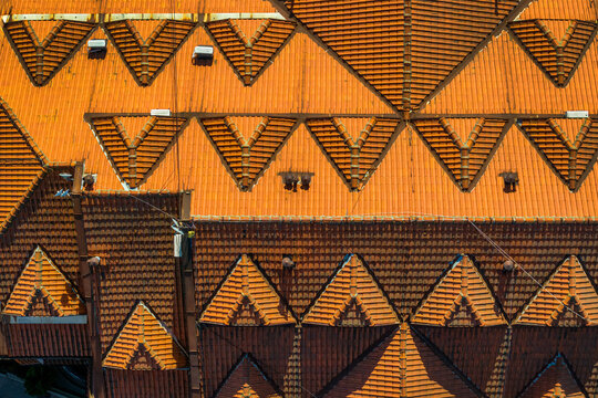 Aerial view of orange tiled roofs with repeating triangular patterns and architectural details in Belgrade, City of Belgrade, Serbia.
