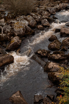 Rugged Norwegian river flowing over mossy rocks in the wilderness