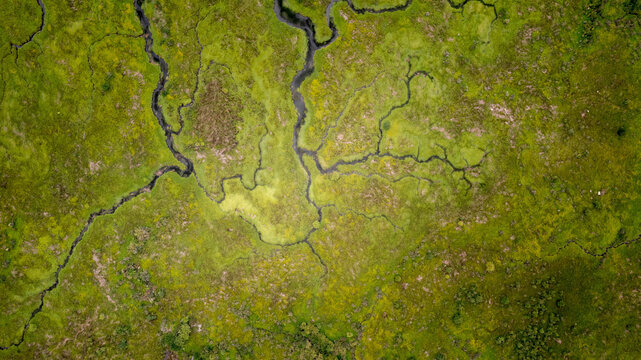Aerial view of a winding river flowing through a lush green landscape in the Patagonian wilderness, Puerto Aysen, Aysen, Chile.