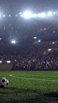 Soccer Players Walking Onto the Pitch Before a Night Match