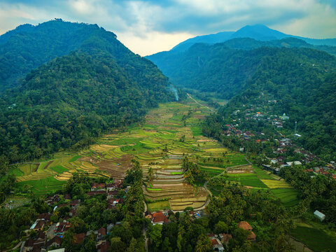 Aerial view of the lush green rice terraces of Kayuwangi nestled between forested mountains in the rural landscape of Banyubiru, Central Java, Indonesia.