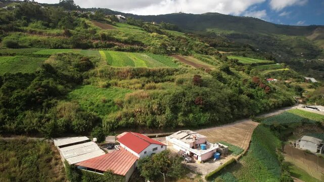 Aerial view of Colonia Tovar featuring terraced agricultural fields, small houses with red roofs, and lush green mountain slopes in Caracas, Miranda, Venezuela.