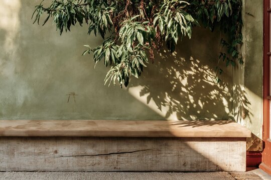 Weathered wooden ledge in front of a sage green stucco wall with leafy plant shadows for product display background