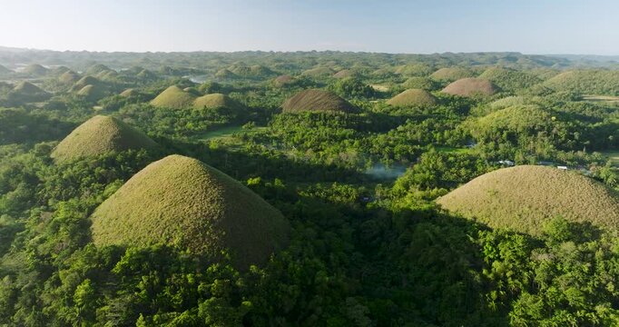Aerial view of the iconic Chocolate Hills, a unique geological formation of grass-covered limestone mounds surrounded by lush tropical vegetation in Batuan, Central Visayas, Philippines.