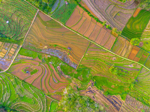 Aerial view of the lush rice terraces in Kemumu, Arma Jaya, showcasing intricate irrigation patterns and vibrant agricultural fields in Arga Makmur, Bengkulu, Indonesia.