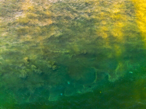 Aerial view of the coastal waters at Pantai Panjang Bengkulu showing swirling sediment and algae patterns in vibrant green and yellow hues, Kecamatan Ratu Agung, Bengkulu, Indonesia.