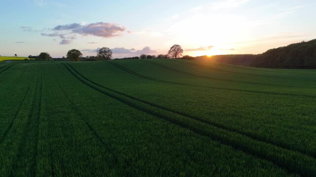 Aerial view of green agricultural fields at sunset with rolling hills and distant trees under a soft evening sky in Langballig, Schleswig-Holstein, Germany.